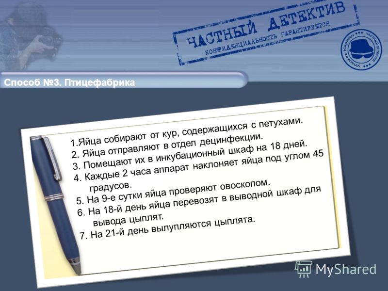 Условия для цыплят в домашнем инкубаторе Условия для цыплят в домашнем инкубаторе
