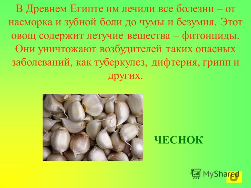 чеснок перед сном от паразитов чеснок перед сном от паразитов