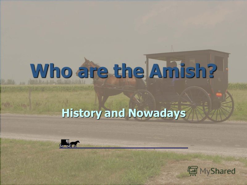 Amish essay introduction