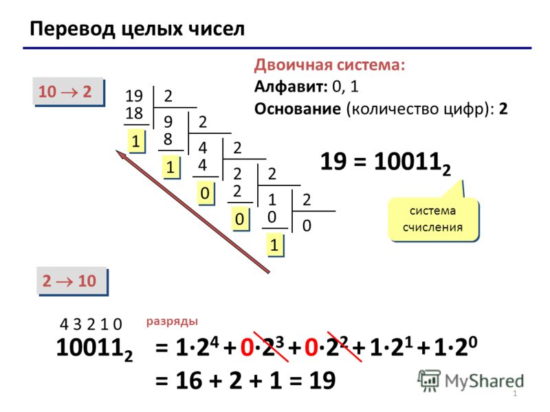 Фото Перевод 3