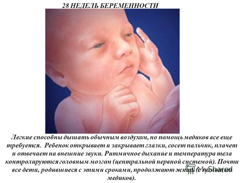 Мой ребенок в 38 недель беременности