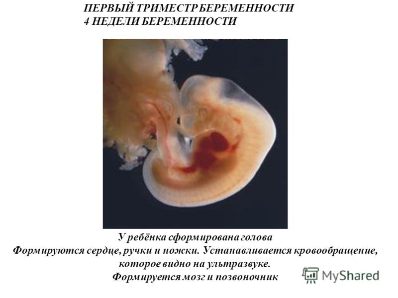 Двигатель для ниссан альмера 1.8 Двигатель для ниссан альмера 1.8