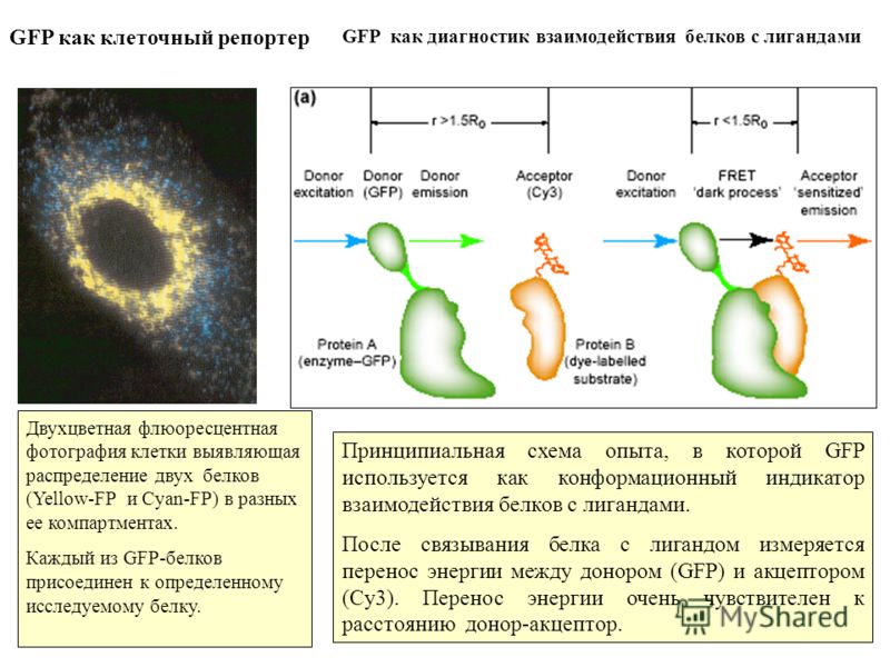 view handbook of