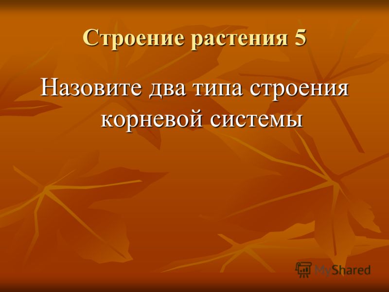 Строение цветка урок. Биология, Бактерии. Грибы. Растения Cached