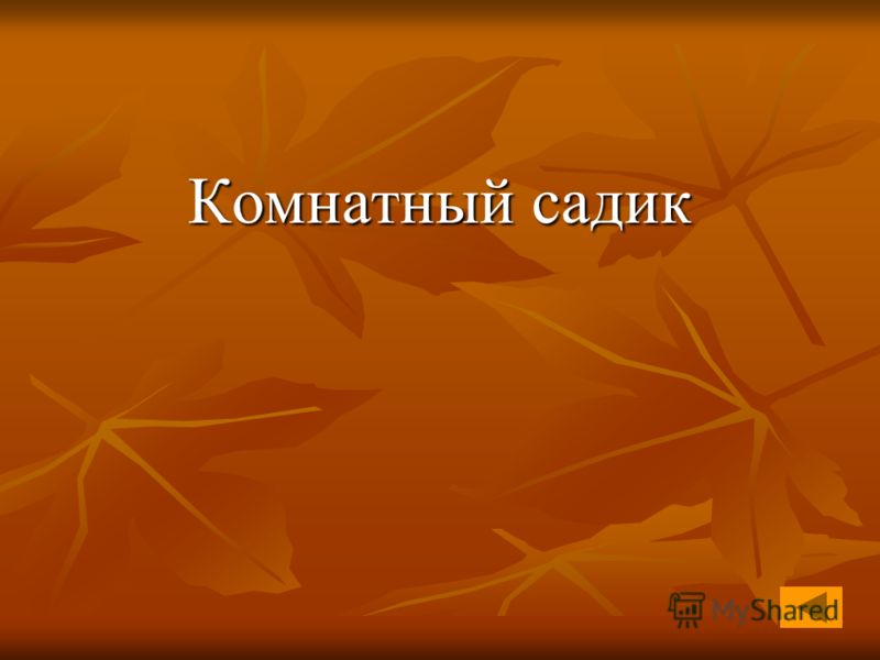 Цветок с длинными резными листьями Цветок с длинными резными листьями