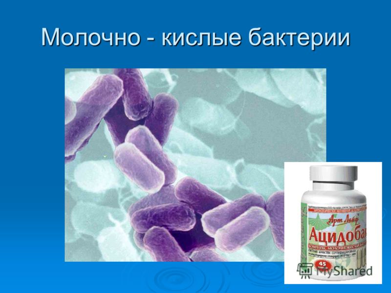 Как сделать бактерии для ребенка из молока Как сделать бактерии для ребенка из молока