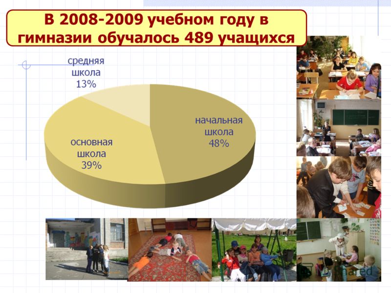 В 2008-2009 учебном году в гимназии обучалось 489 учащихся