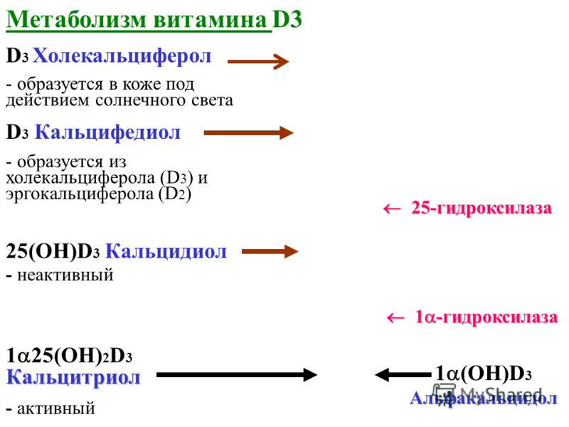 Метаболизм витамина D3 D 3 Холекальциферол - образуется в коже под действием солнечного света D 3 Кальцифедиол - образуется из холекальциферола (D 3 ) и эргокальциферола (D 2 ) 25(ОН)D 3 Кальцидиол - неактивный Кальцитриол 1 25(ОН) 2 D 3 Кальцитриол 