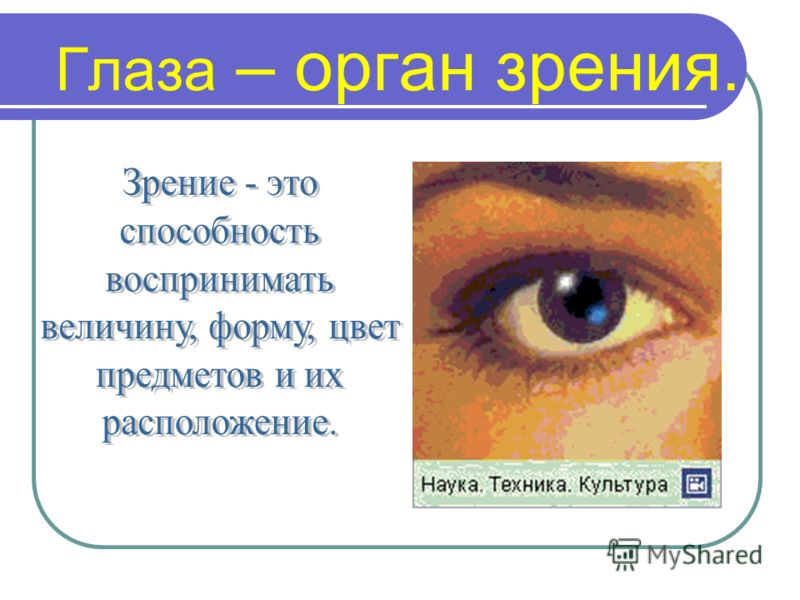 [PUNIQRANDLINE-(au-dating-names.txt) 55 Доклад глаз орган зрения 1739