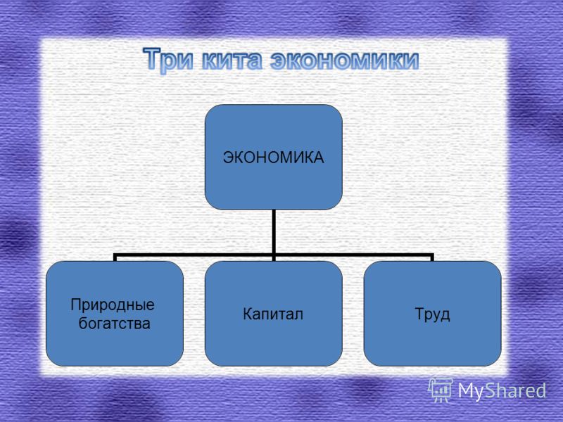 Масличные культуры и растения: лен, подсолнечник, рапс Сорта овощей для Самарской области - лучшие районированные