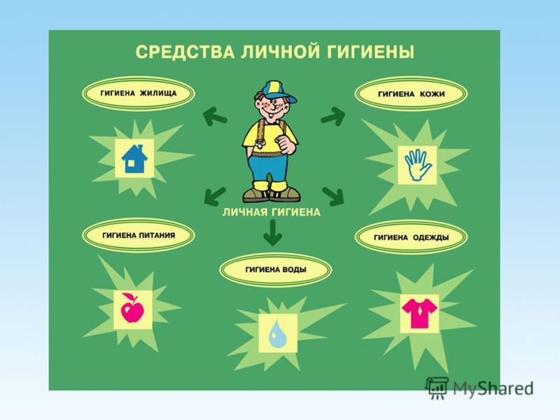 Реферат По Физкультуре Личная Гигиена Реферат По Физкультуре Личная Гигиена