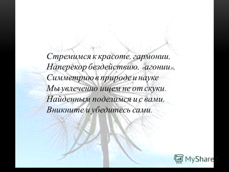 Стремясь к красоте Стремясь к красоте