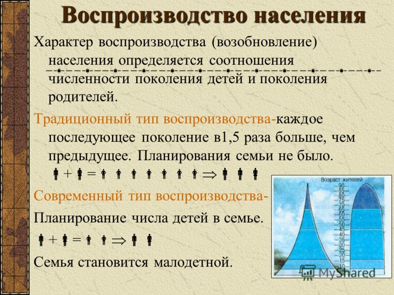 Традиционный тип семьи в 2019 году Традиционный тип семьи в 2019 году
