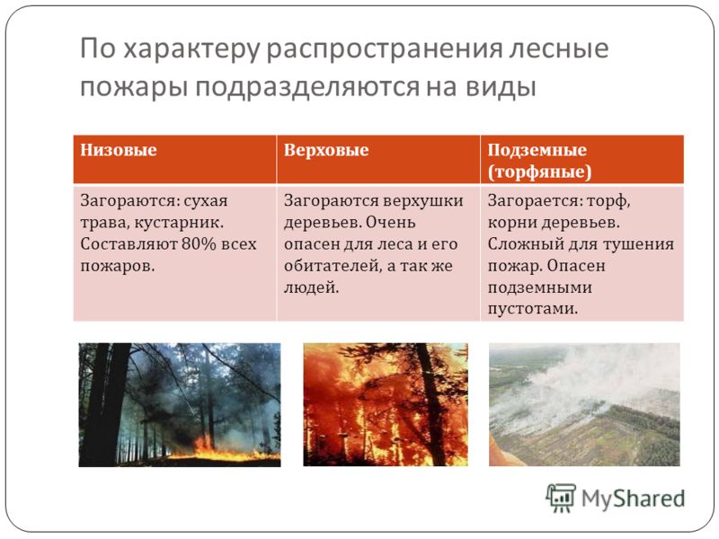 Пожары степных и хлебных массивов Пожары степных и хлебных массивов