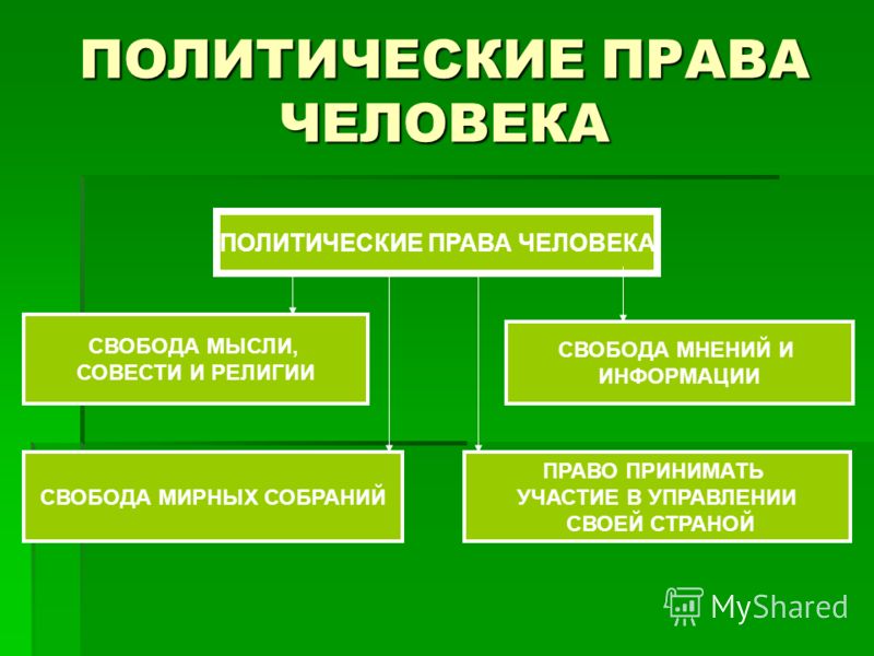 Как связаны между собой личные политические права человека и гражданина Как связаны между собой личные политические права человека и гражданина