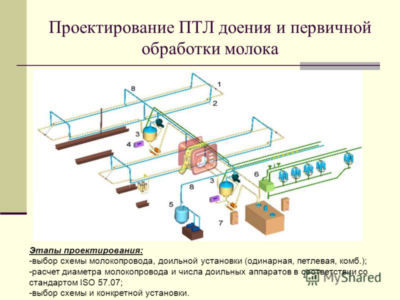 Технологический процесс схема доильной установки Технологический процесс схема доильной установки