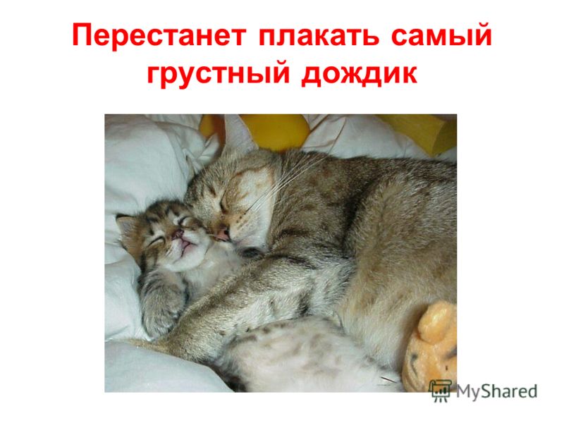 Онлайн радио слушать radioratingru