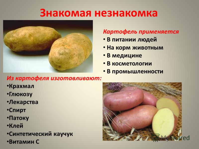 Как сделать спирт с картошкой