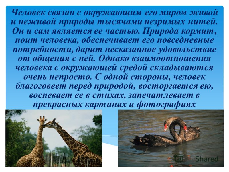С чем связан человек природа С чем связан человек природа