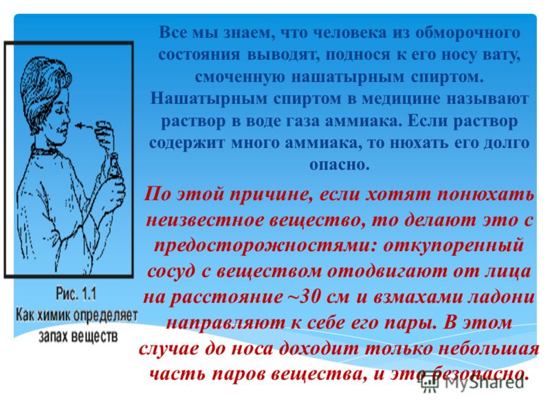 Как человек связан с живой и неживой природой Как человек связан с живой и неживой природой