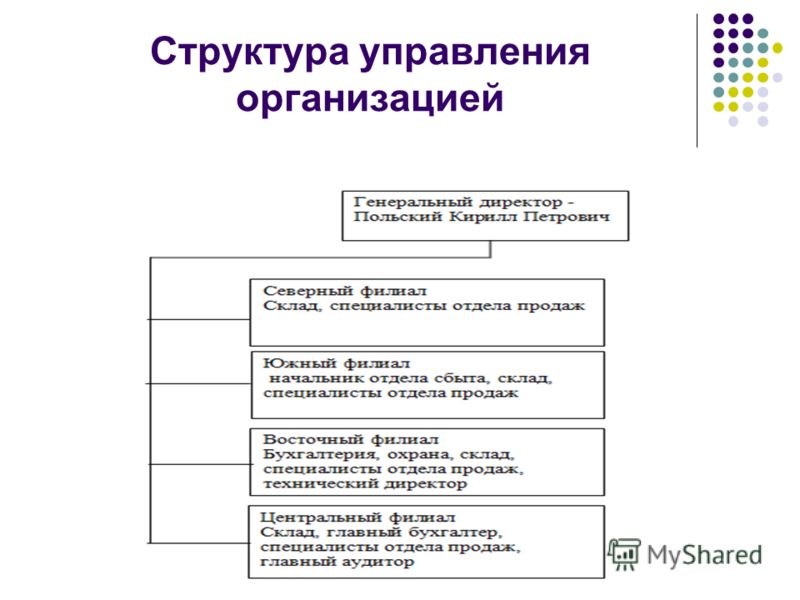 Структура управления организацией