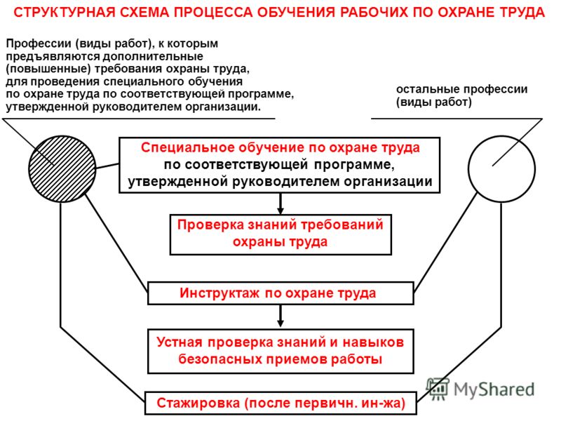 Как создать программу обучения по охране труда