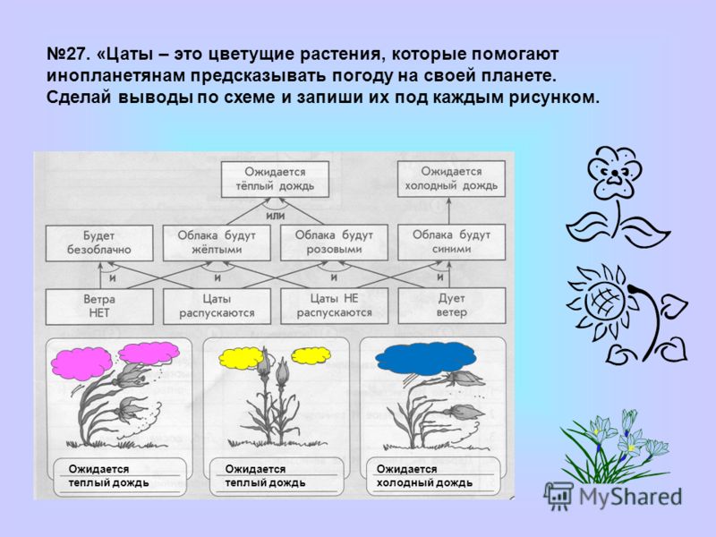 Нарисуй в таблице фигуры Нарисуй в таблице фигуры