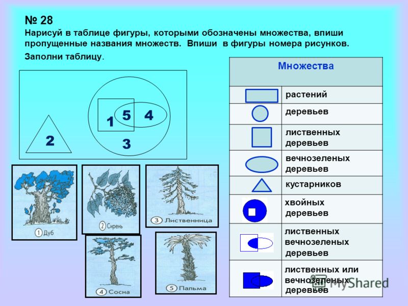 Нарисуй в таблице фигуры Нарисуй в таблице фигуры