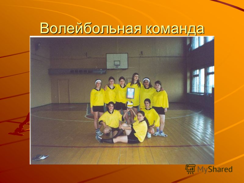 Волейбольная команда