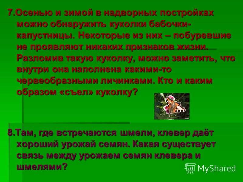 проявляют паразиты в организме проявляют паразиты в организме