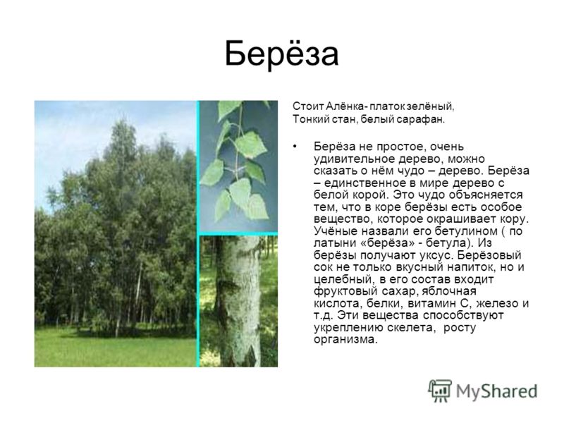 стоит аленка платок зеленый