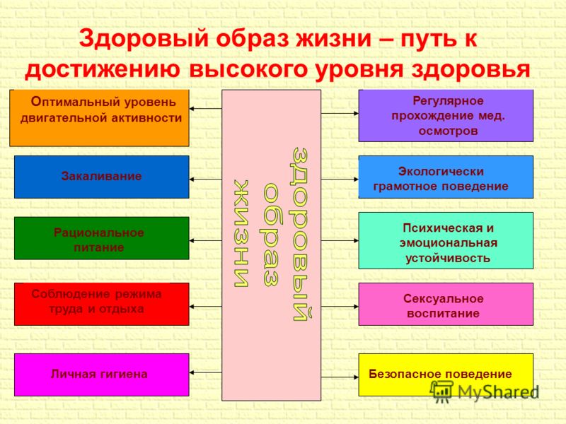 Реферат По Обж На Тему Здоровый Образ Жизни Реферат По Обж На Тему Здоровый Образ Жизни