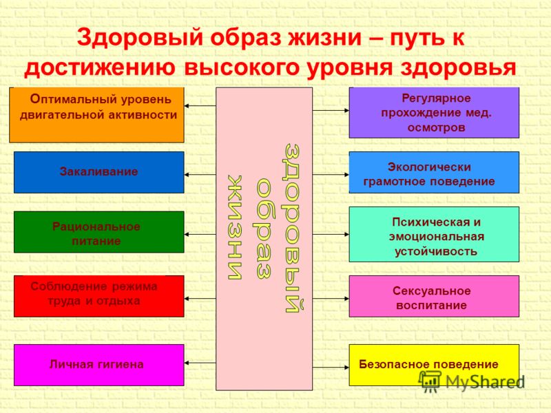 Реферат На Тему Здоровый Образ Жизни По Валеологии