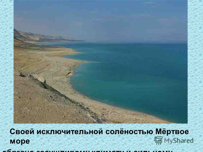 Своей исключительной солёностью Мёртвое море обязано засушливому климату и сильному испарению.