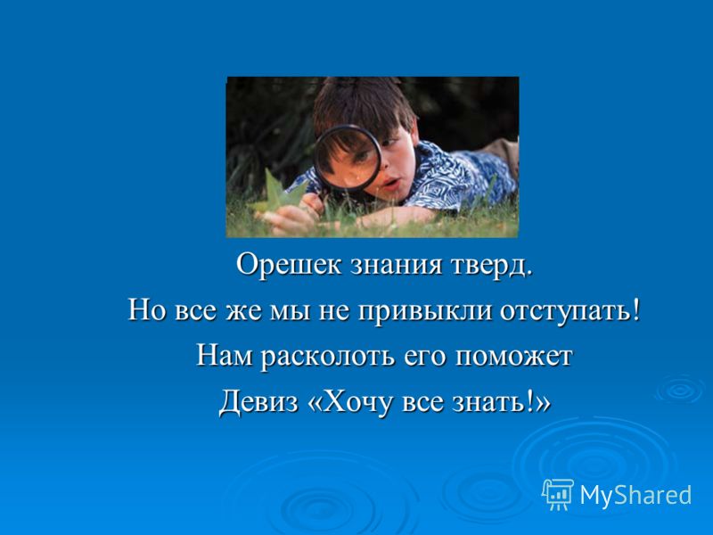 Поговорка нам не привыкать Поговорка нам не привыкать
