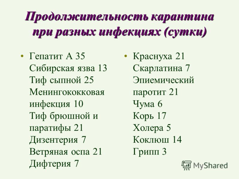 Рассказ о том как правильно проводить карантин