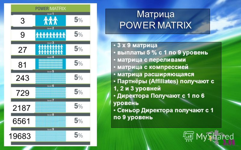 Матрица POWER MATRIX Матрица POWER MATRIX 3 x 9 матрица выплаты 5 % с 1 по 9 уровень матрица с переливами матрица с компрессией матрица расширяющаяся Партнёры (Affiliates) получают с 1, 2 и 3 уровней Директора Получают с 1 по 6 уровень Сеньор Директо