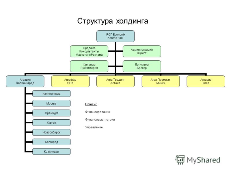 Структура холдинга схема