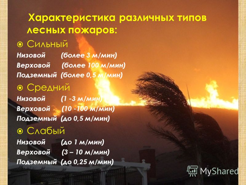 Характеристика различных типов лесных пожаров: Сильный Низовой (более 3 м/мин) Верховой (более 100 м/мин) Подземный (более 0,5 м/мин) Средний Низовой (1 -3 м/мин) Верховой (10 -100 м/мин) Подземный (до 0,5 м/мин) Слабый Низовой (до 1 м/мин) Верховой 