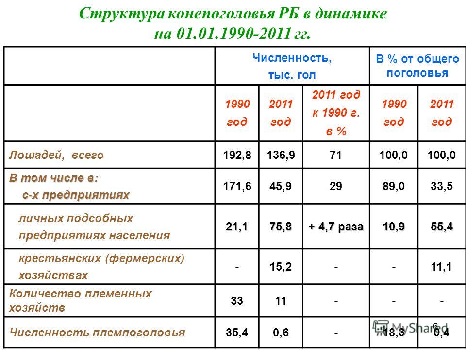 функции, которые год какой лошади 1990 даже