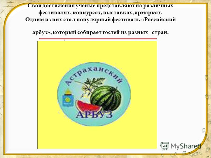 Что за сорт вишни-мичуринская Что за сорт вишни-мичуринская