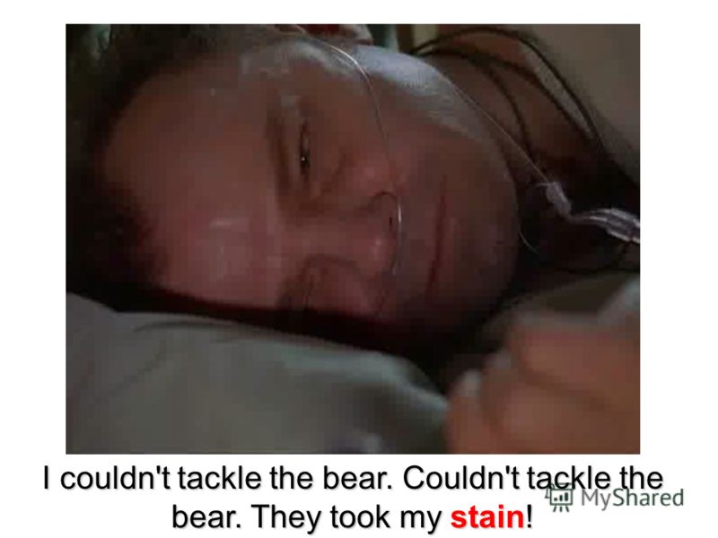 I couldn't tackle the bear. Couldn't tackle the bear. They took my stain!