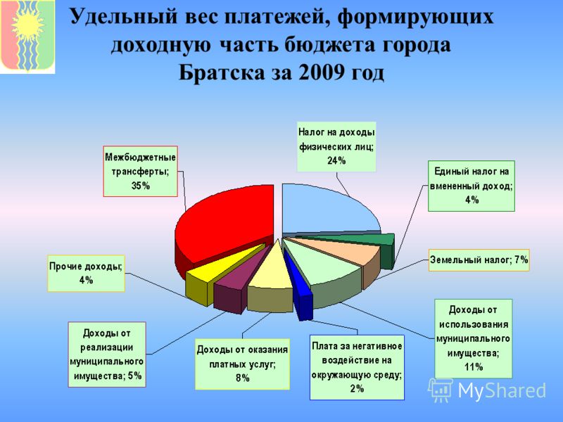 Удельный вес платежей, формирующих доходную часть бюджета города Братска за 2009 год