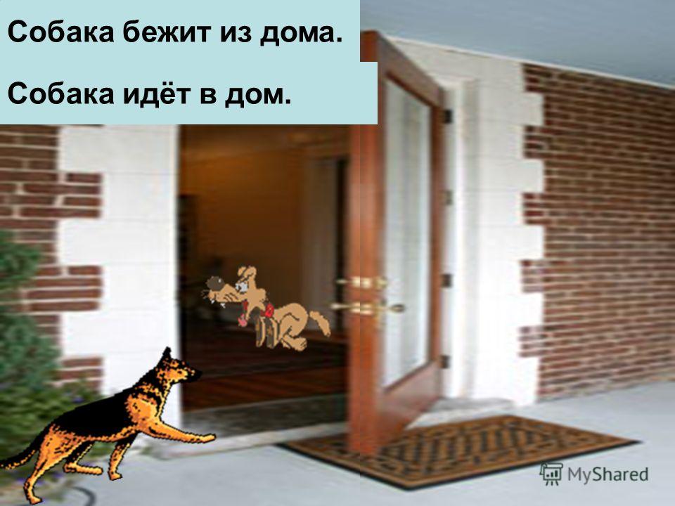 Собака бежит из дома. Собака идёт в дом.