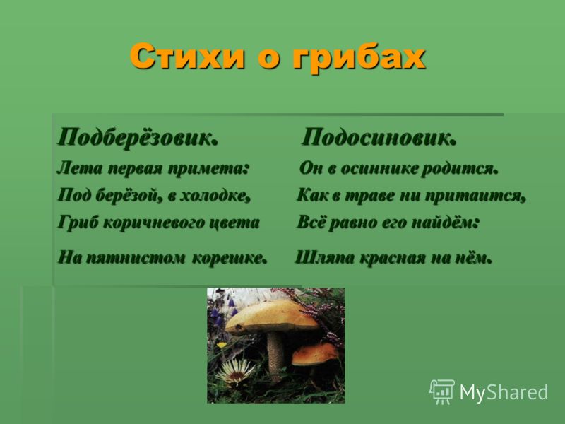 С днем рождения Ольга, Оля, Оленька, Олечка С Днем рождения Нонна, Нонночка