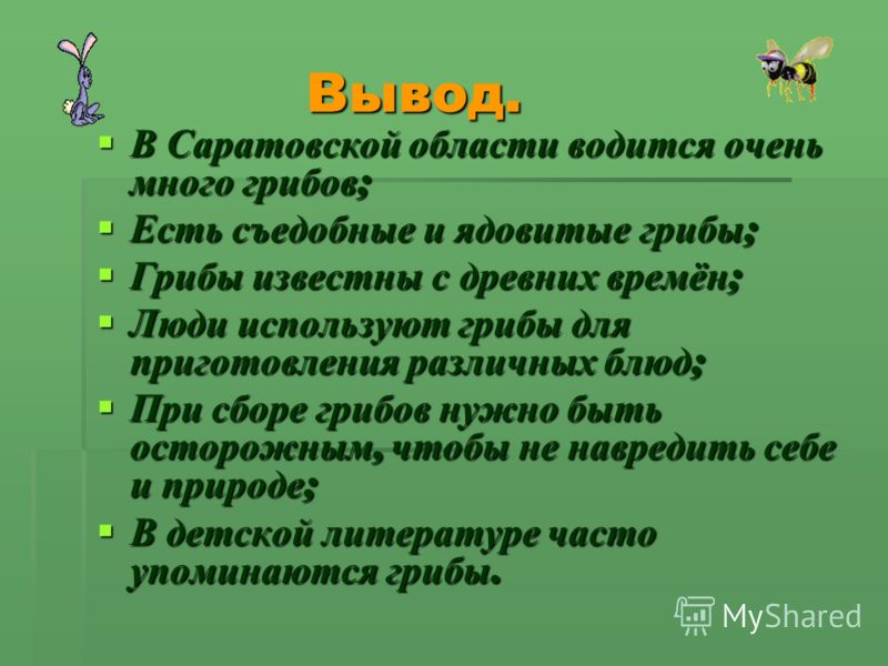 фото грибы съедобные в саратовской области онлайн фото грибы съедобные в саратовской области