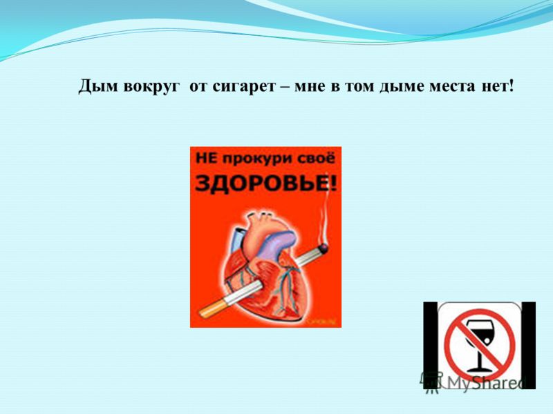 Нарастить зуб собаке Нарастить зуб собаке