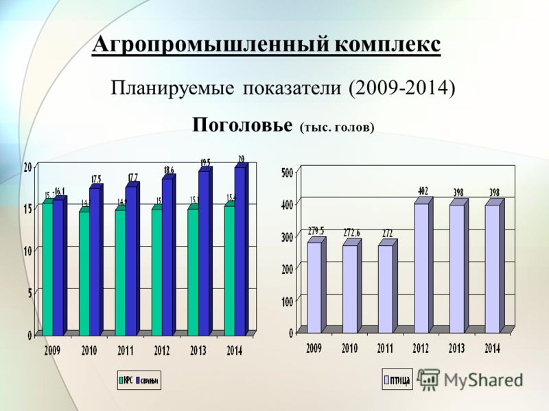 Агропромышленный комплекс Планируемые показатели (2009-2014) Поголовье (тыс. голов)