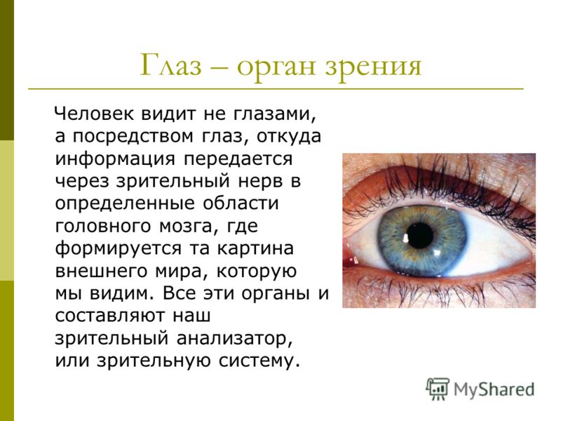 Методы жданова по восстановлению зрения