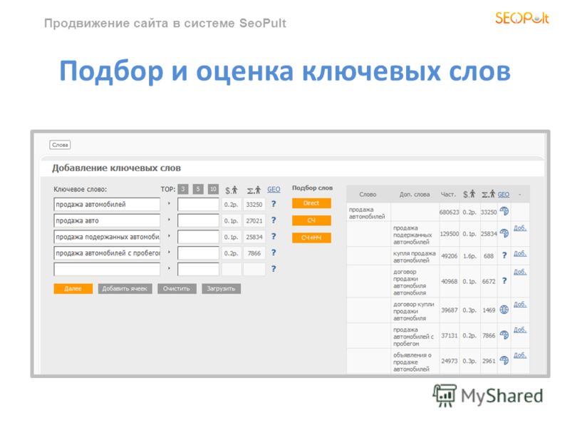 Продвижение сайта в системе SeoPult Подбор и оценка ключевых слов